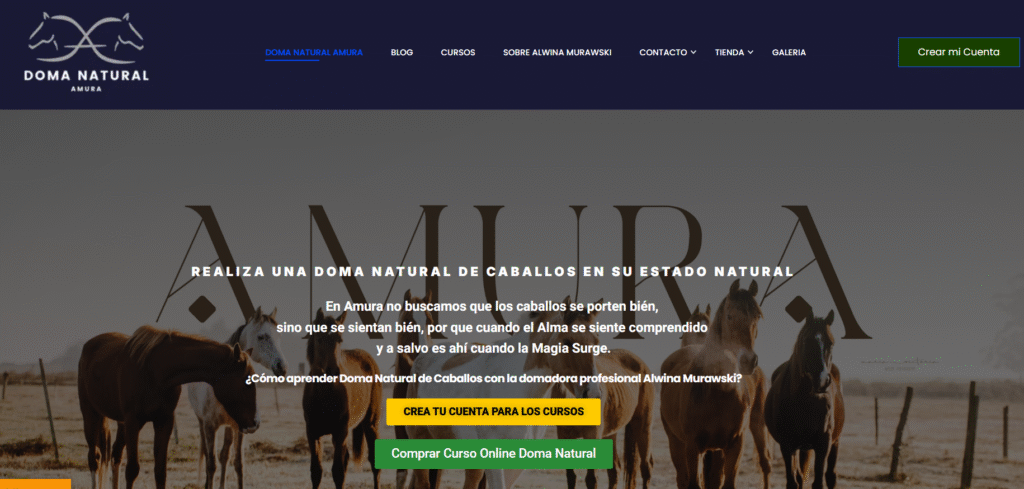 caso de exito seo doma natural amura de alwina muraski